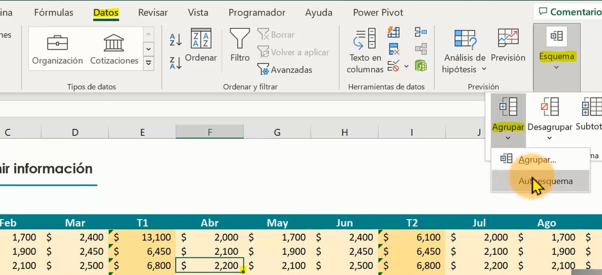 datos crear autoesquemas