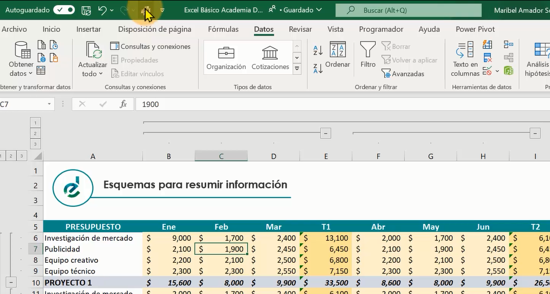 mostrar y ocultar simbolos de autoesquema