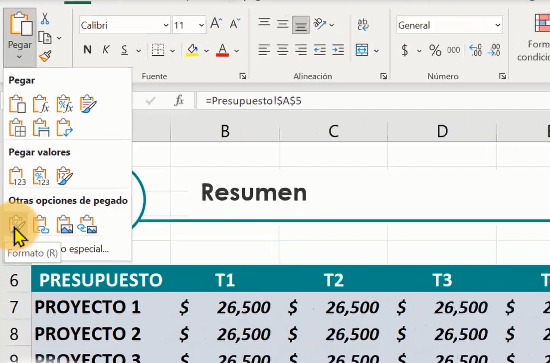 pegar formato en excel